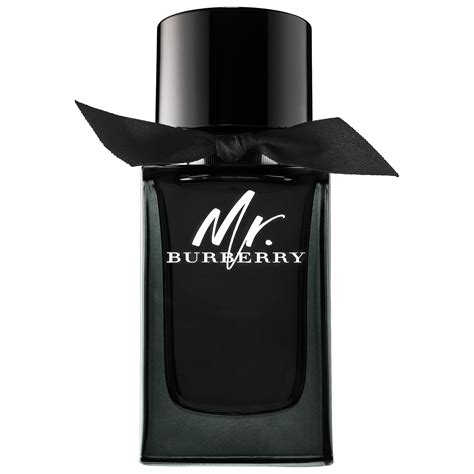 mr burberry eau de perfum spray 3 oz|mr burberry perfume price.